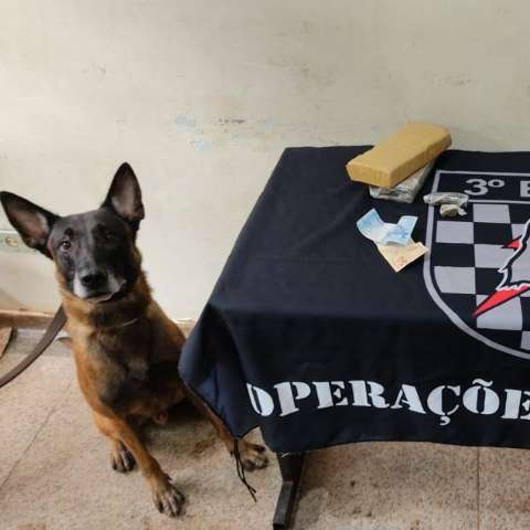 Desempregado, jovem ia vender droga, mas acabou flagrado por c&atilde;o policial