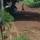 Câmera de vizinha flagra bandidos levando TVs de casa no Jardim Auxiliadora