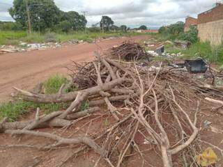 Galhos de árvores também já foram jogados no local. (Foto: Elsio Santos do Amaral)
