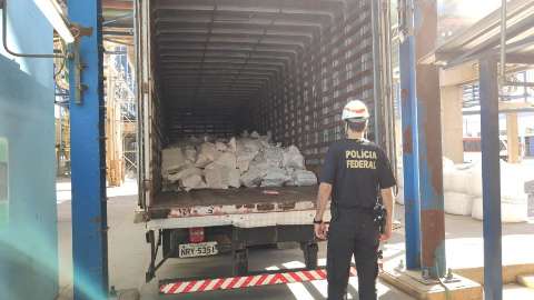 Carga com mais de 7 toneladas de drogas é incinerada pela Polícia Federal
