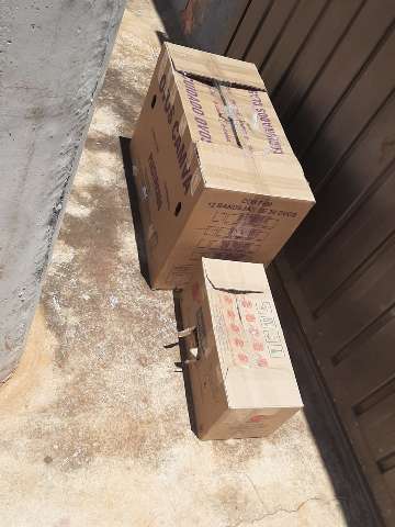 M&atilde;e e filha lacram gatos em caixa e abandonam em casa de protetora 