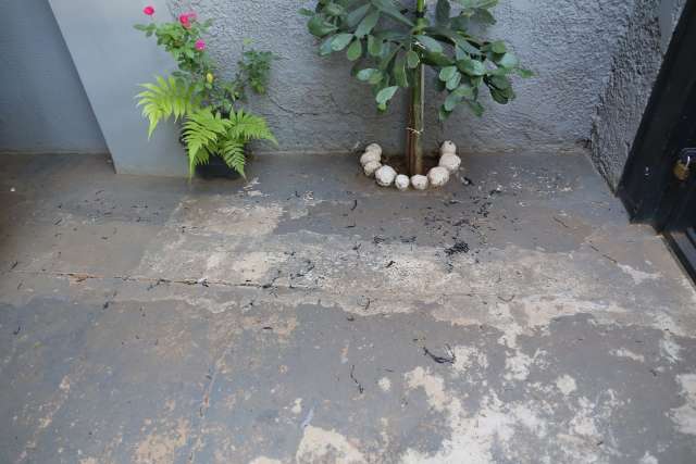 Depois de inc&ecirc;ndio, domingo &eacute; de limpeza nas casas pr&oacute;ximas ao aeroporto