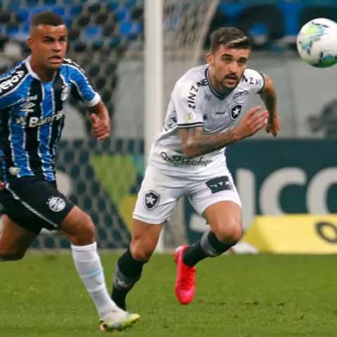 Em jogo isolado, rebaixado Botafogo recebe o Gr&ecirc;mio no Nilton Santos