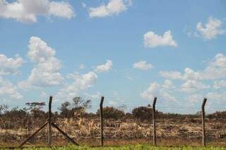 Fumaça em área do aeroporto não dá trégua após 2 dias do incêndio Fumaça em área do aeroporto não dá trégua após 2 dias do incêndio