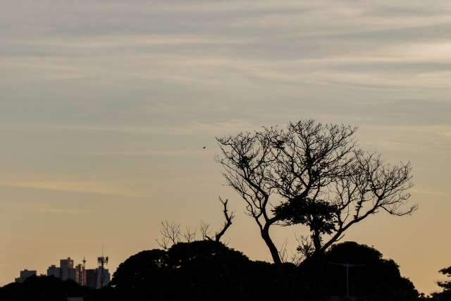 Sem previs&atilde;o de chuva, ter&ccedil;a-feira &eacute; de sol e muito calor em MS