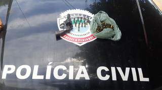 Pistola apreendida com o propietario do açougue. (Foto:Divulgação Policia Civil)