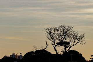 Sem previs&atilde;o de chuva, ter&ccedil;a-feira &eacute; de sol e muito calor em MS