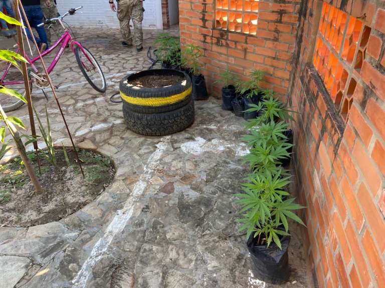 Campo Grande News