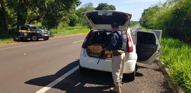  Homem &eacute; preso com quase meia tonelada de droga em carro com placas falsas