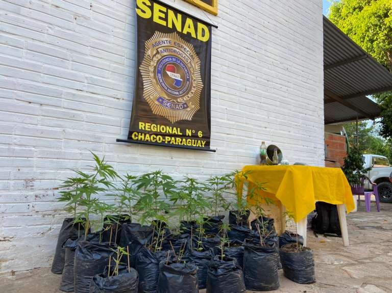 Campo Grande News