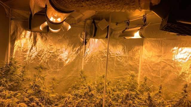 Opera&ccedil;&atilde;o na fronteira fecha laborat&oacute;rio do PCC para produ&ccedil;&atilde;o de supermaconha