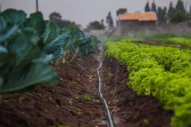 STF derruba lei que deixa de gra&ccedil;a &aacute;gua para irriga&ccedil;&atilde;o agr&iacute;cola em MS