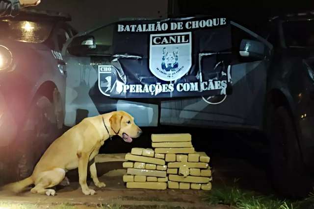 Motorista de &ocirc;nibus &eacute; flagrado por &quot;Maradona&quot; com 50 kg de maconha