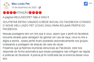 Circulando em MS, link de ado&ccedil;&atilde;o de filhotes &eacute; golpe para roubar perfis 