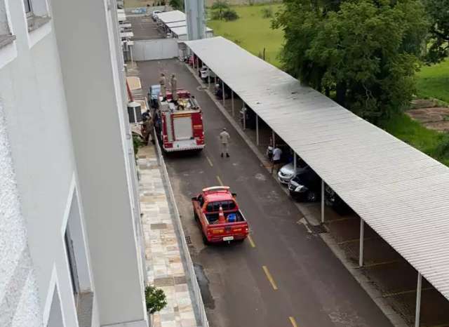 Vizinhos e bombeiros se unem em resgate de poodle do 3&ordm; andar de pr&eacute;dio