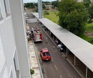 Vizinhos e bombeiros se unem em resgate de poodle do 3&ordm; andar de pr&eacute;dio
