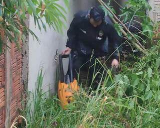 Material roubado foi encontrado pela polícia (Foto/Divulgação)