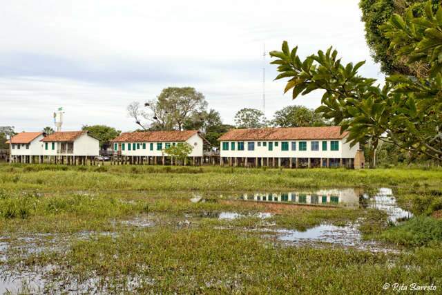 Pesquisa identifica obesidade em moradores de comunidades do Pantanal