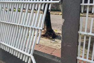 Dupla &eacute; flagrada furtando at&eacute; frigobar por grade de cl&iacute;nica no bairro Tiradentes