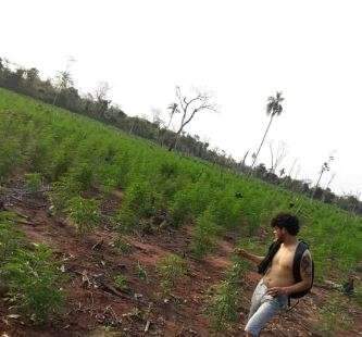 Dupla que foi &quot;empacotada&quot; tinha envolvimento com o tr&aacute;fico de maconha 