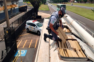 Caminhão apreendido em SP abarrotado de tabletes de maconha saiu de Aparecida do Taboado (Divulgação/Polícia Militar)
