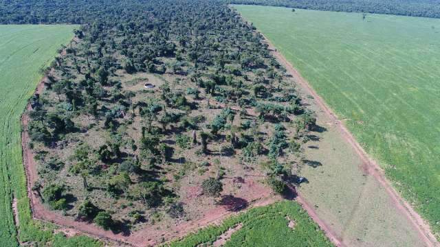 Fazendeiro &eacute; multado em R$ 465 mil por desmatamento de &aacute;rea protegida