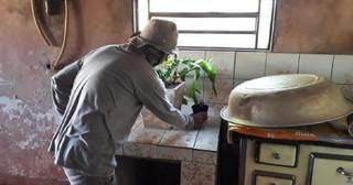 Agente de saúde observa se há água parada em vaso de planta (Foto: Divulgação)