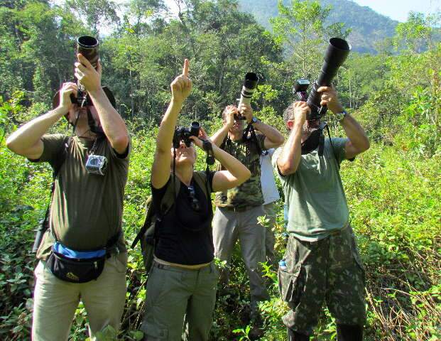 Viaje pelo universo dos pássaros sem sair de Mato Grosso do Sul