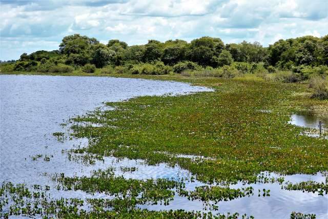 Pantanal: um ecossistema à margem da lei