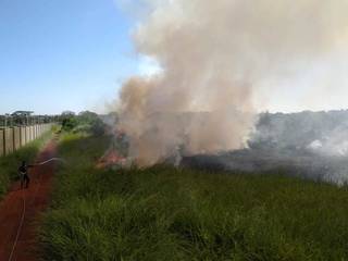 Incêndio atinge vegetação ao lado de condominio e loteamento em Dourados (Foto: Ligado na Notícia)