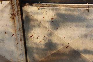 Marcas de sangue em portão de residência onde vítima foi socorrida pelo pai (Foto: Kísie Ainoã)