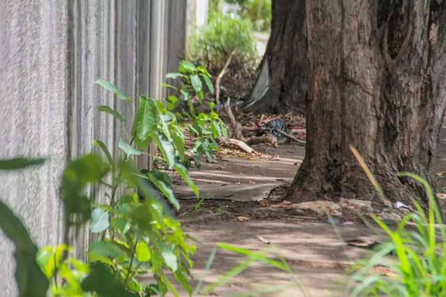 Voc&ecirc; acha que Campo Grande &eacute; uma cidade com acessibilidade?