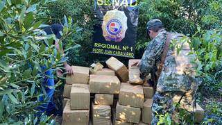 Agentes da Senad empilham fardos de maconha encontrados na fronteira (Foto: Divulgação)