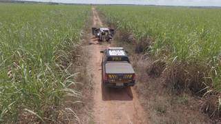 Viatura da PRF em trecho de canavial próximo a BR-158 onde carro foi apreendido com uma tonelada de maconha (Foto: Divulgação/PRF)