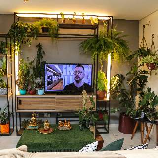 Para ter selva sem sair da cidade, casal encheu a casa de plantas