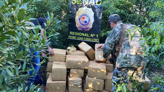 Ag&ecirc;ncia antidrogas do Paraguai destr&oacute;i 30 toneladas de maconha na fronteira
