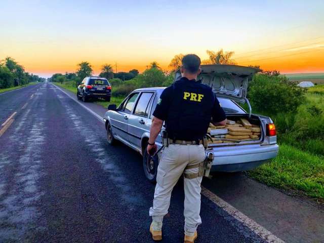 Traficante &eacute; preso transportando meia tonelada de maconha para pagar d&iacute;vida