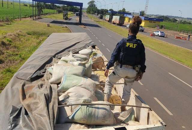 Pol&iacute;cia pega carreta com 20 toneladas de &ldquo;muamba&rdquo;, a segunda em uma semana