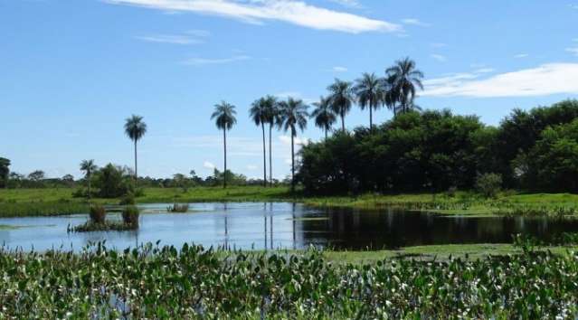 Na rota das concess&otilde;es de parques, prefeitos destacam crescimento do turismo 