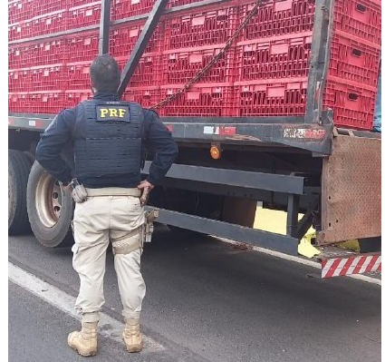 Caminh&atilde;o de frango sai de Ponta Por&atilde; com 3 toneladas de droga e &eacute; pego em SP 