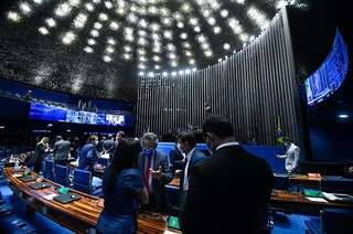 Senadores no plenário do Senado nesta quarta-feira (03). (Foto: Marcos Oliveira/Agência Senado) 