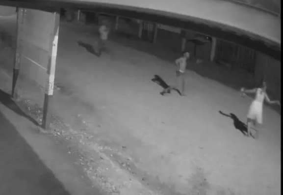 Em depoimento, homem diz que matou mulher a facadas ap&oacute;s ser agredido 