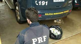 Policial ao lado dos tabletes da droga apreendida. (Foto: PRF)