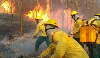 Equipes da Prevfogo no combate aos incêndios no Pantanal, em 2020, &#34;ano de fogo&#34; na região (Foto/Arquivo)