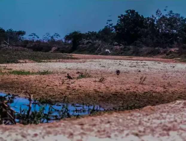 Portaria fixa prazo de 4 anos para projeto de recupera&ccedil;&atilde;o do Rio Taquari