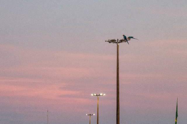 Sexta-feira ser&aacute; de sol, tempo firme e calor de at&eacute; 37&ordm;C em MS