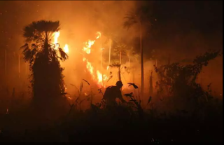 Incêndio desvasta vegetação em fazenda de Corumbá, no Pantanal. (Foto: Paulo Francis)