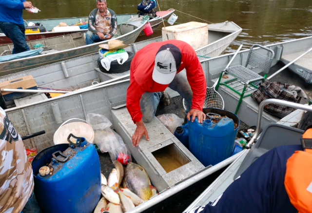 Opera&ccedil;&atilde;o percorre 780 km de rios e apreende 248 kg de pescados ilegais