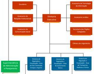 Hierarquia de cargos na estrutura interna da Agepan (Foto: Reprodução) 