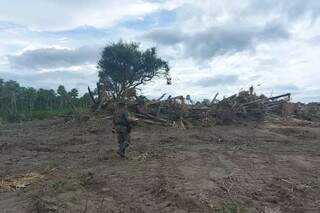 Polícia Militar Ambiental identificou que 137 hectares foram desmatados. (Foto: Divulgação/PM)